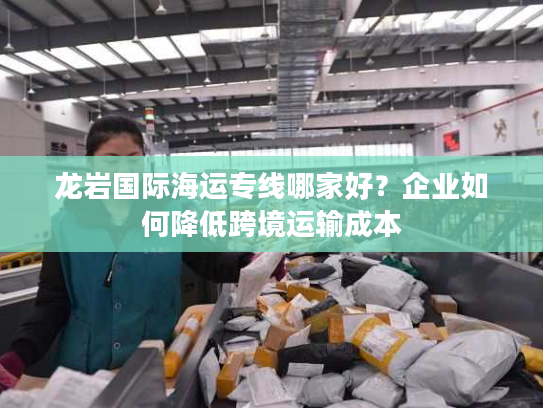龙岩国际海运专线哪家好?企业如何降低跨境运输成本 龙岩国际海运专线哪家好?企业如何降低跨境运输成本