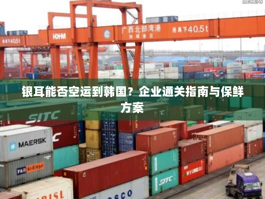 银耳能否空运到韩国？企业通关指南与保鲜方案