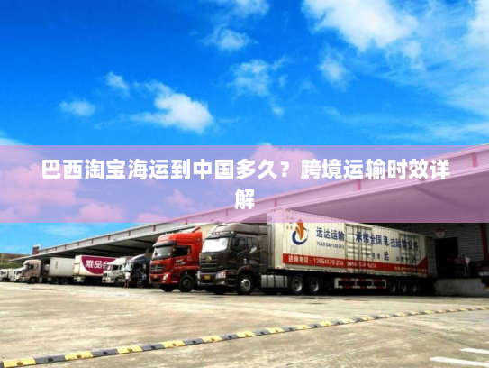 巴西淘宝海运到中国多久?跨境运输时效详解 巴西淘宝海运到中国多久?跨境运输时效详解