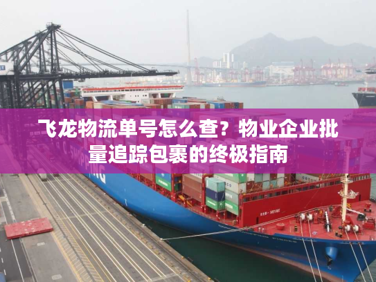 飞龙物流单号怎么查？物业企业批量追踪包裹的终极指南