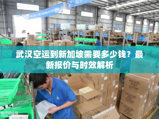 武汉空运到新加坡需要多少钱?最新报价与时效解析 武汉空运到新加坡需要多少钱?最新报价与时效解析
