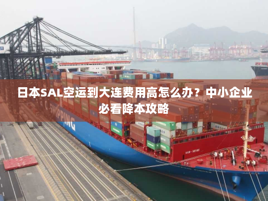 日本SAL空运到大连费用高怎么办?中小企业必看降本攻略 日本SAL空运到大连费用高怎么办?中小企业必看降本攻略