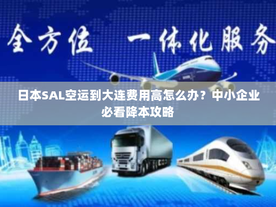 日本SAL空运到大连费用高怎么办?中小企业必看降本攻略 日本SAL空运到大连费用高怎么办?中小企业必看降本攻略