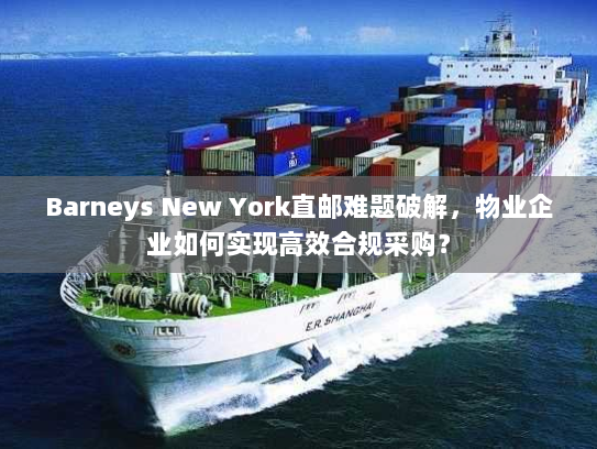 Barneys New York直邮难题破解,物业企业如何实现高效合规采购? Barneys New York直邮难题破解,物业企业如何实现高效合规采购?