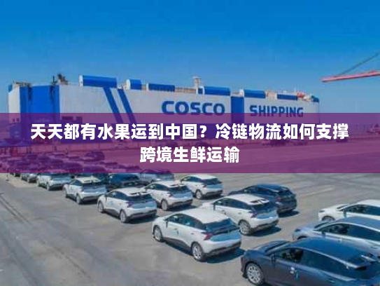 天天都有水果运到中国?冷链物流如何支撑跨境生鲜运输 天天都有水果运到中国?冷链物流如何支撑跨境生鲜运输