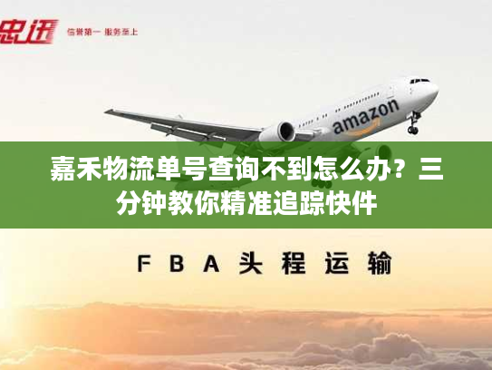 嘉禾物流单号查询不到怎么办?三分钟教你精准追踪快件 嘉禾物流单号查询不到怎么办?三分钟教你精准追踪快件