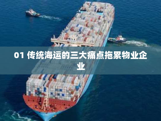 01 传统海运的三大痛点拖累物业企业