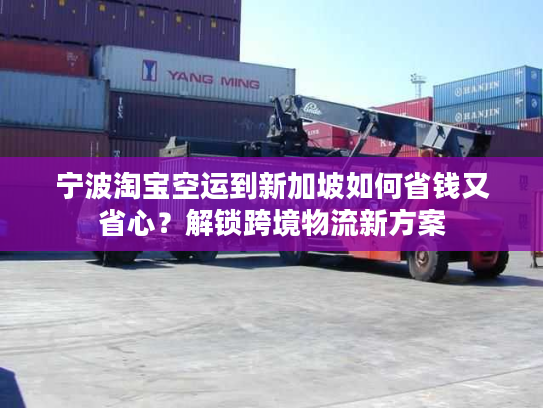 宁波淘宝空运到新加坡如何省钱又省心?解锁跨境物流新方案 宁波淘宝空运到新加坡如何省钱又省心?解锁跨境物流新方案