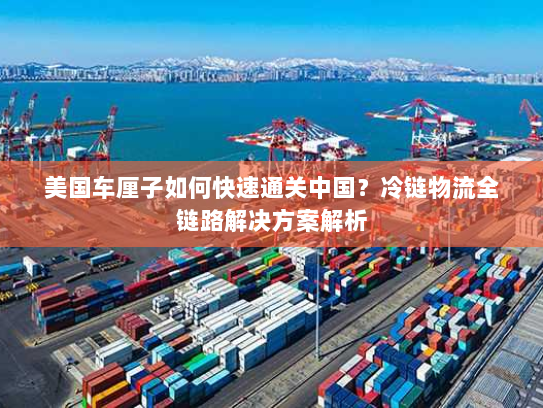 美国车厘子如何快速通关中国?冷链物流全链路解决方案解析 美国车厘子如何快速通关中国?冷链物流全链路解决方案解析