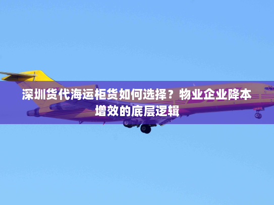 深圳货代海运柜货如何选择?物业企业降本增效的底层逻辑 深圳货代海运柜货如何选择?物业企业降本增效的底层逻辑