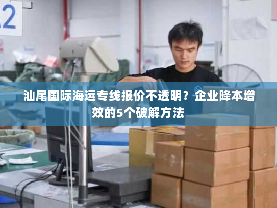 汕尾国际海运专线报价不透明?企业降本增效的5个破解方法 汕尾国际海运专线报价不透明?企业降本增效的5个破解方法