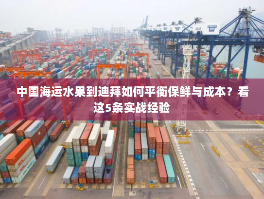 中国海运水果到迪拜如何平衡保鲜与成本?看这5条实战经验 中国海运水果到迪拜如何平衡保鲜与成本?看这5条实战经验