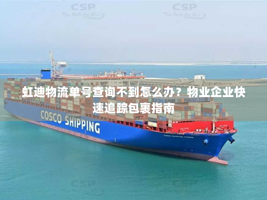 虹迪物流单号查询不到怎么办?物业企业快速追踪包裹指南 虹迪物流单号查询不到怎么办?物业企业快速追踪包裹指南
