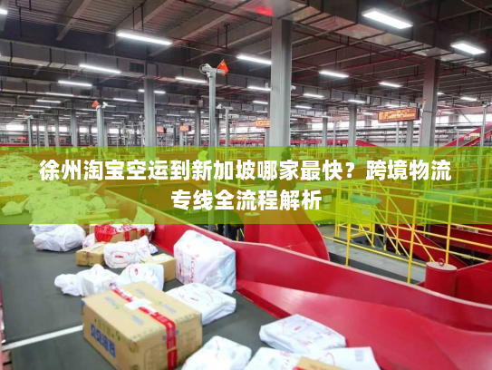 徐州淘宝空运到新加坡哪家最快?跨境物流专线全流程解析 徐州淘宝空运到新加坡哪家最快?跨境物流专线全流程解析