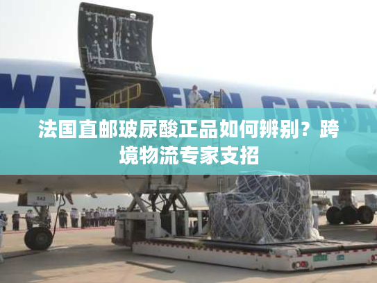 法国直邮玻尿酸正品如何辨别？跨境物流专家支招