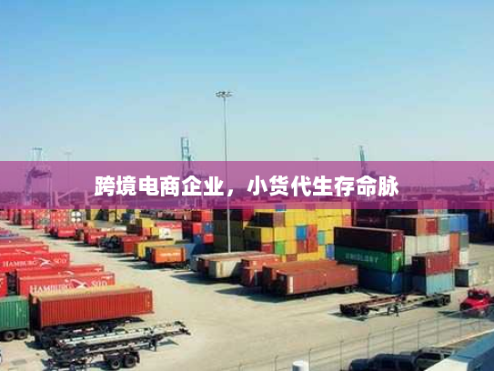 跨境电商企业,小货代生存命脉 跨境电商企业,小货代生存命脉