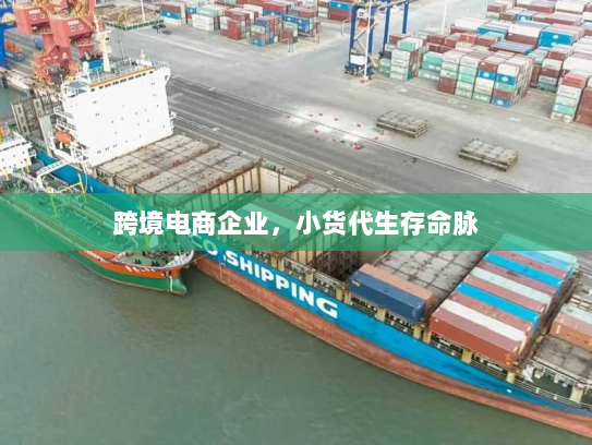 跨境电商企业,小货代生存命脉 跨境电商企业,小货代生存命脉