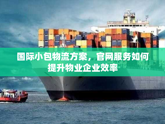 国际小包物流方案，官网服务如何提升物业企业效率