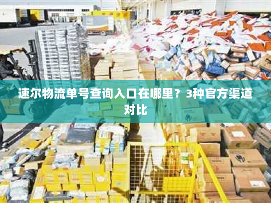 速尔物流单号查询入口在哪里?3种官方渠道对比 速尔物流单号查询入口在哪里?3种官方渠道对比