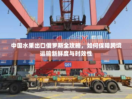 中国水果出口俄罗斯全攻略，如何保障跨境运输新鲜度与时效性