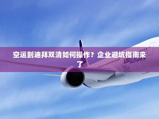 空运到迪拜双清如何操作？企业避坑指南来了