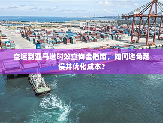 空运到亚马逊时效查询全指南，如何避免延误并优化成本？