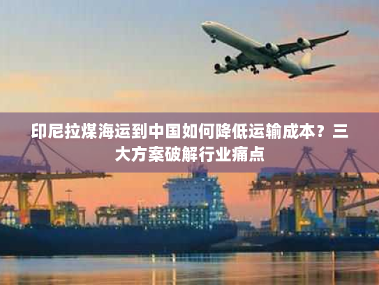 印尼拉煤海运到中国如何降低运输成本？三大方案破解行业痛点