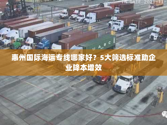 惠州国际海运专线哪家好？5大筛选标准助企业降本增效