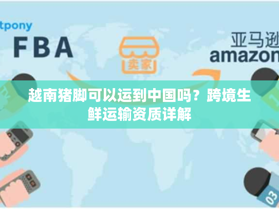 越南猪脚可以运到中国吗？跨境生鲜运输资质详解