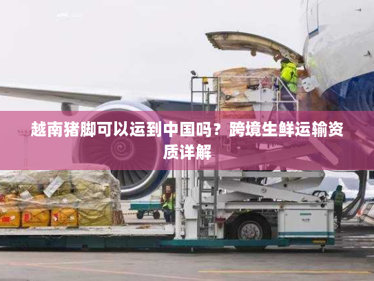 越南猪脚可以运到中国吗？跨境生鲜运输资质详解