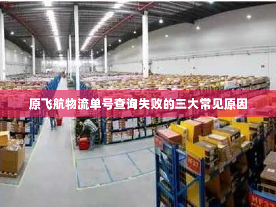 原飞航物流单号查询失败的三大常见原因