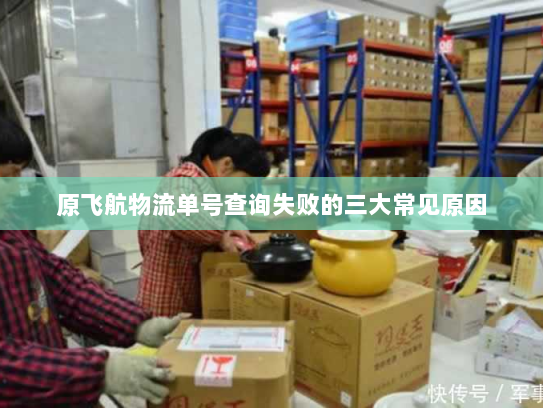 原飞航物流单号查询失败的三大常见原因