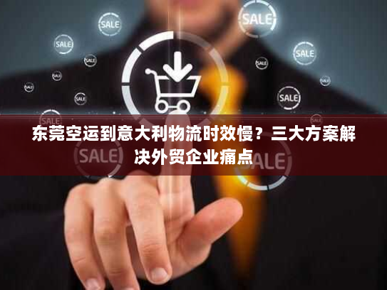 东莞空运到意大利物流时效慢?三大方案解决外贸企业痛点 东莞空运到意大利物流时效慢?三大方案解决外贸企业痛点