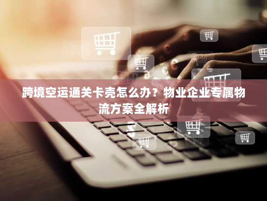 跨境空运通关卡壳怎么办?物业企业专属物流方案全解析 跨境空运通关卡壳怎么办?物业企业专属物流方案全解析