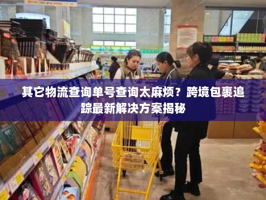 其它物流查询单号查询太麻烦?跨境包裹追踪最新解决方案揭秘 其它物流查询单号查询太麻烦?跨境包裹追踪最新解决方案揭秘