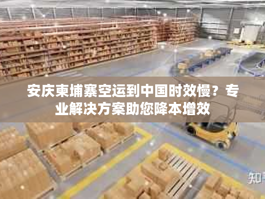 安庆柬埔寨空运到中国时效慢?专业解决方案助您降本增效 安庆柬埔寨空运到中国时效慢?专业解决方案助您降本增效