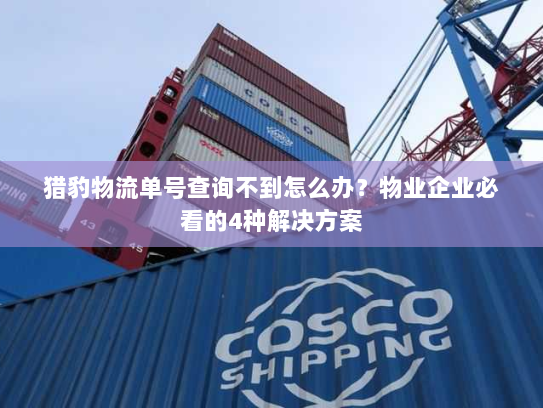 猎豹物流单号查询不到怎么办?物业企业必看的4种解决方案 猎豹物流单号查询不到怎么办?物业企业必看的4种解决方案