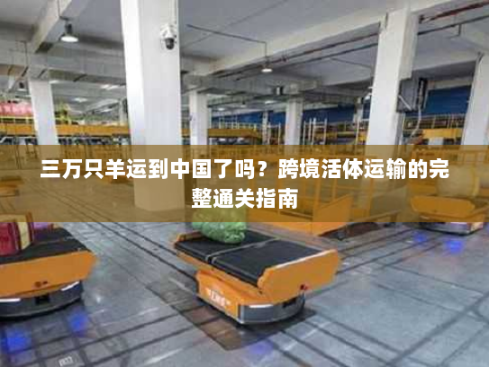 三万只羊运到中国了吗?跨境活体运输的完整通关指南 三万只羊运到中国了吗?跨境活体运输的完整通关指南