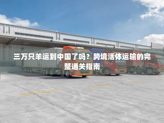 三万只羊运到中国了吗?跨境活体运输的完整通关指南 三万只羊运到中国了吗?跨境活体运输的完整通关指南