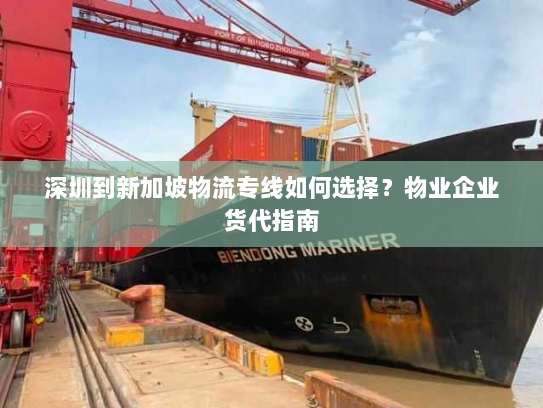 深圳到新加坡物流专线如何选择?物业企业货代指南 深圳到新加坡物流专线如何选择?物业企业货代指南