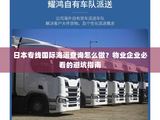 日本专线国际海运查询怎么做？物业企业必看的避坑指南