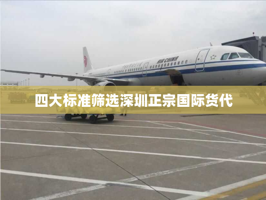四大标准筛选深圳正宗国际货代