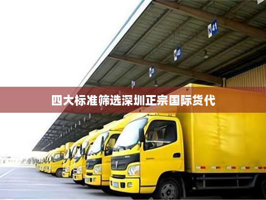 四大标准筛选深圳正宗国际货代