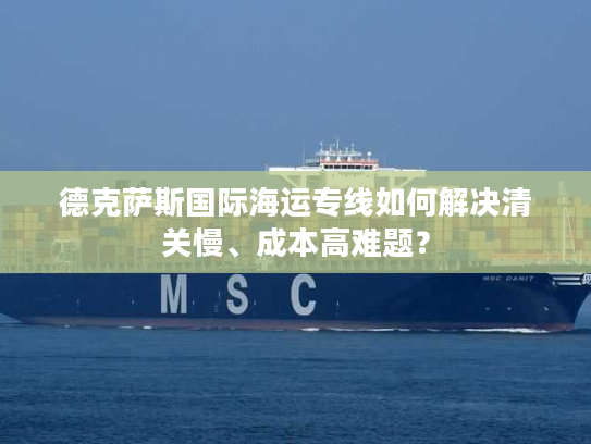 德克萨斯国际海运专线如何解决清关慢、成本高难题? 德克萨斯国际海运专线如何解决清关慢、成本高难题?