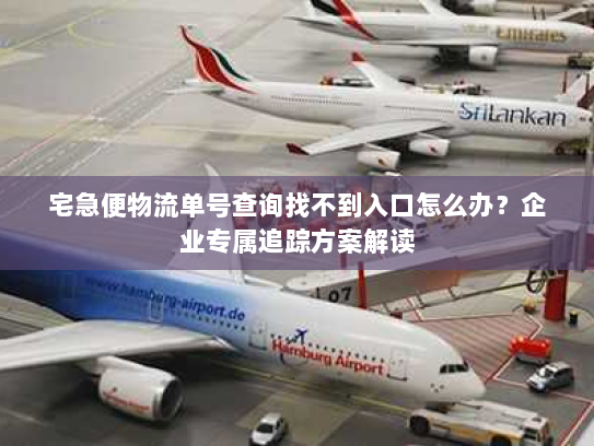 宅急便物流单号查询找不到入口怎么办?企业专属追踪方案解读 宅急便物流单号查询找不到入口怎么办?企业专属追踪方案解读