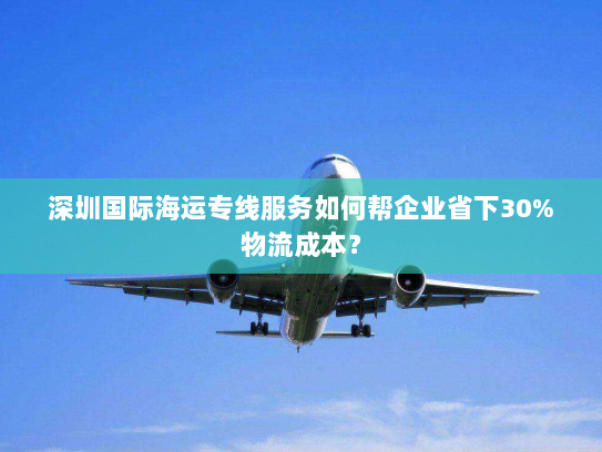 深圳国际海运专线服务如何帮企业省下30%物流成本? 深圳国际海运专线服务如何帮企业省下30%物流成本?