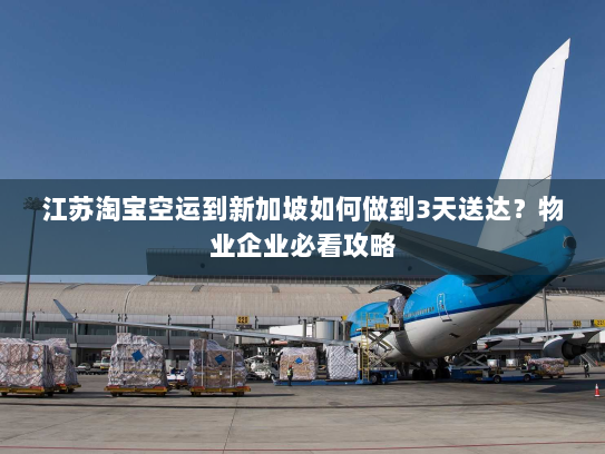 江苏淘宝空运到新加坡如何做到3天送达？物业企业必看攻略