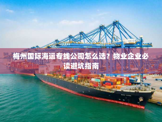 梅州国际海运专线公司怎么选?物业企业必读避坑指南 梅州国际海运专线公司怎么选?物业企业必读避坑指南