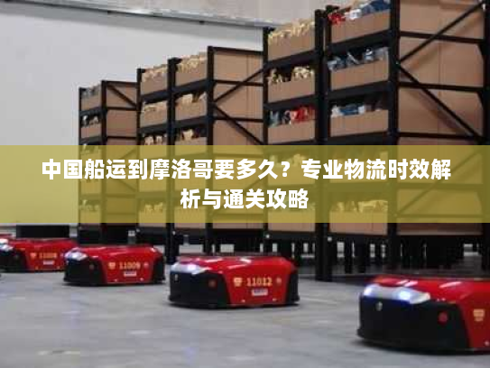 中国船运到摩洛哥要多久？专业物流时效解析与通关攻略