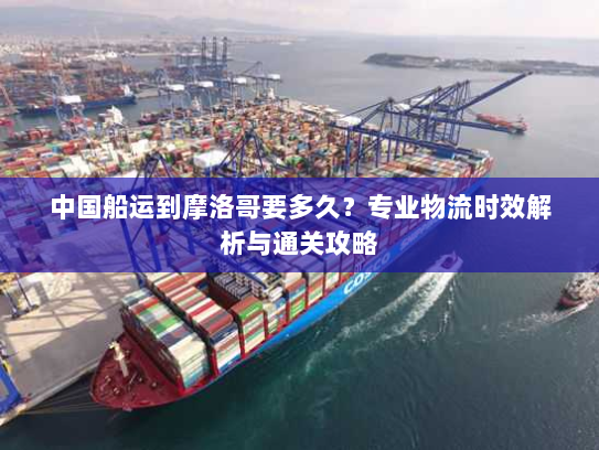 中国船运到摩洛哥要多久？专业物流时效解析与通关攻略